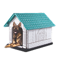Dog Houses
