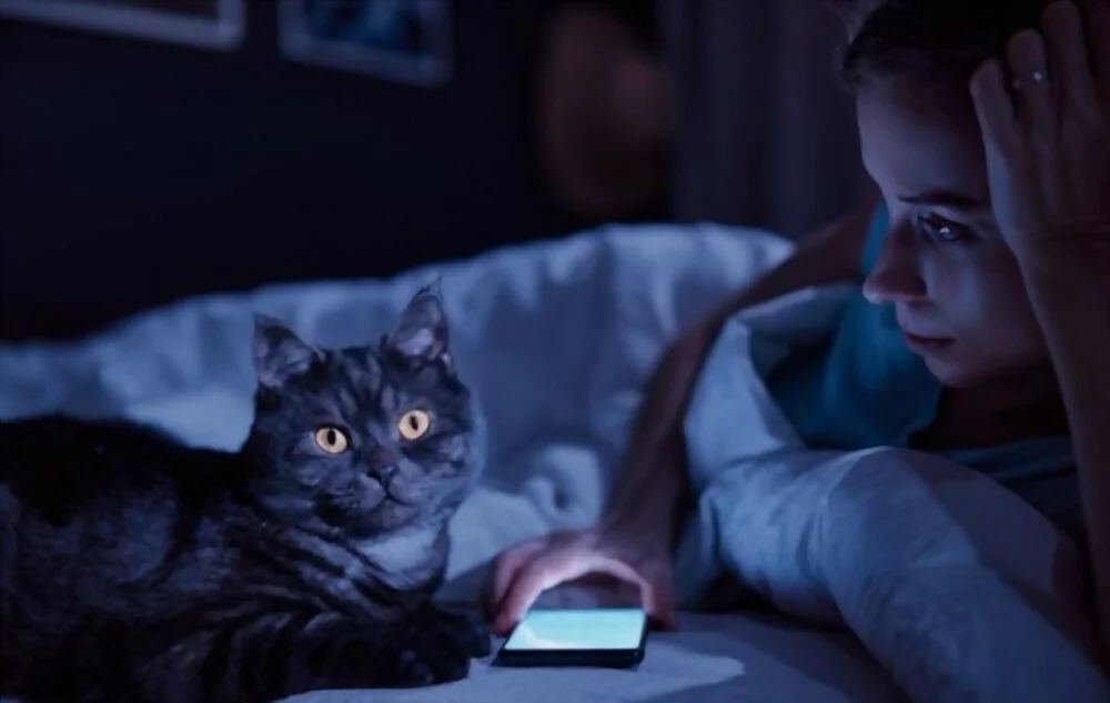 How to Stop Your Cat from Waking You Up