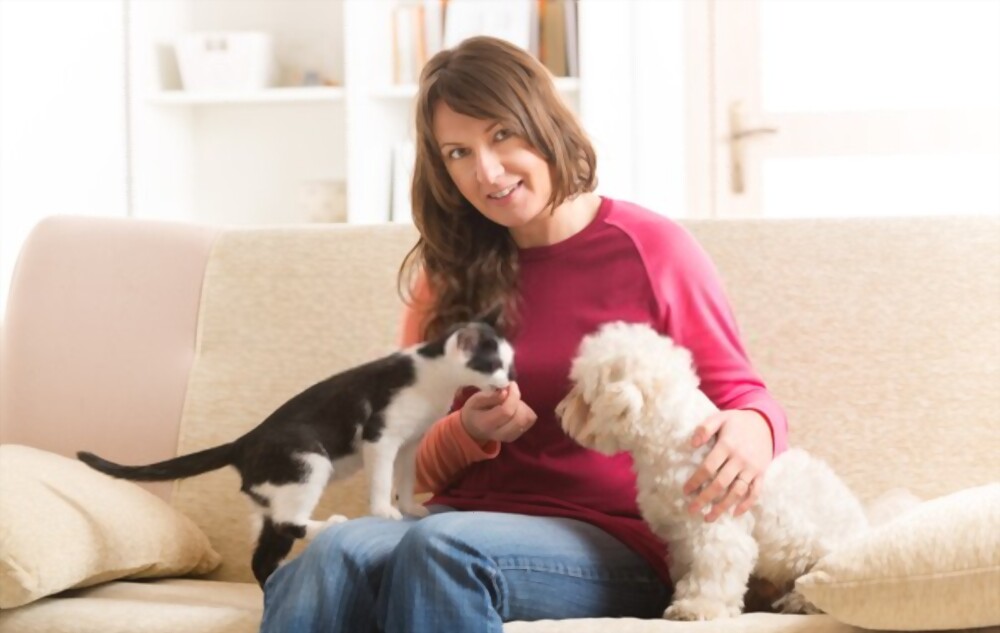 4 Personality Differences Between Dog People and Cat People